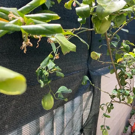 My Happy Place Apartamento *