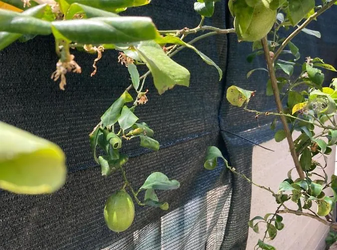 My Happy Place アパート *